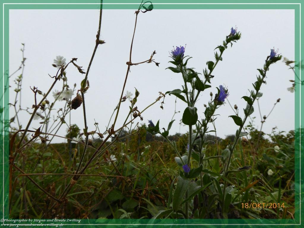 Philosophische Bildwanderung Hiwweltour-Heideblick
