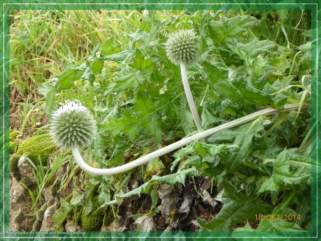 Philosophische Bildwanderung Hiwweltour-Heideblick