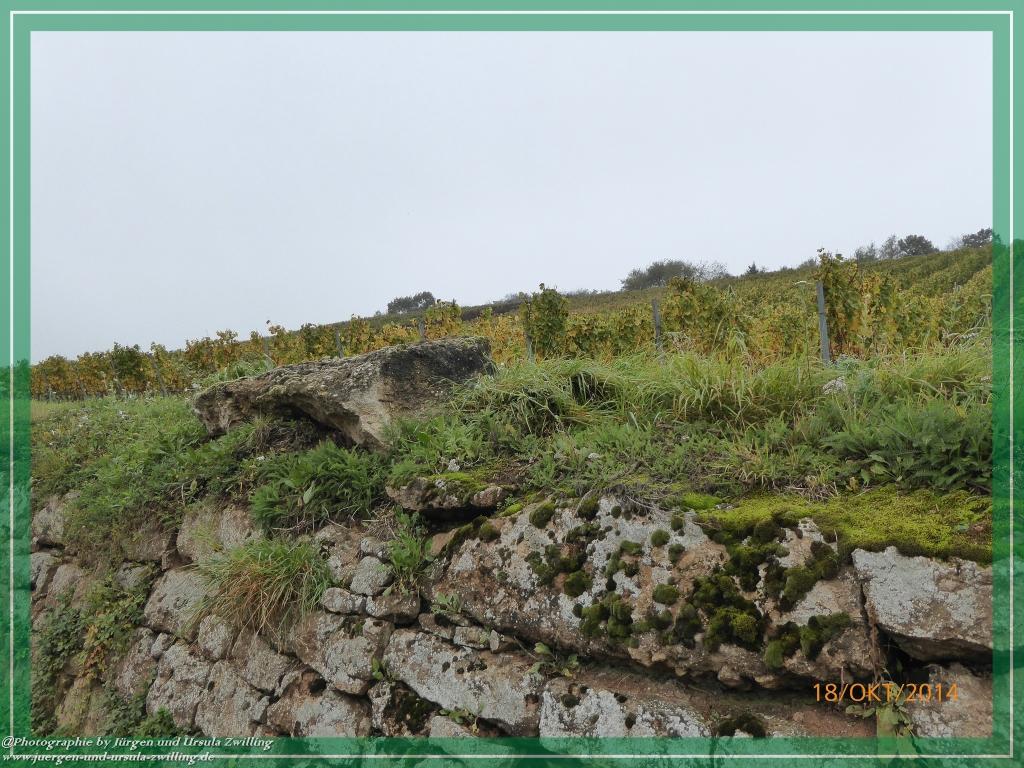 Philosophische Bildwanderung Hiwweltour-Heideblick