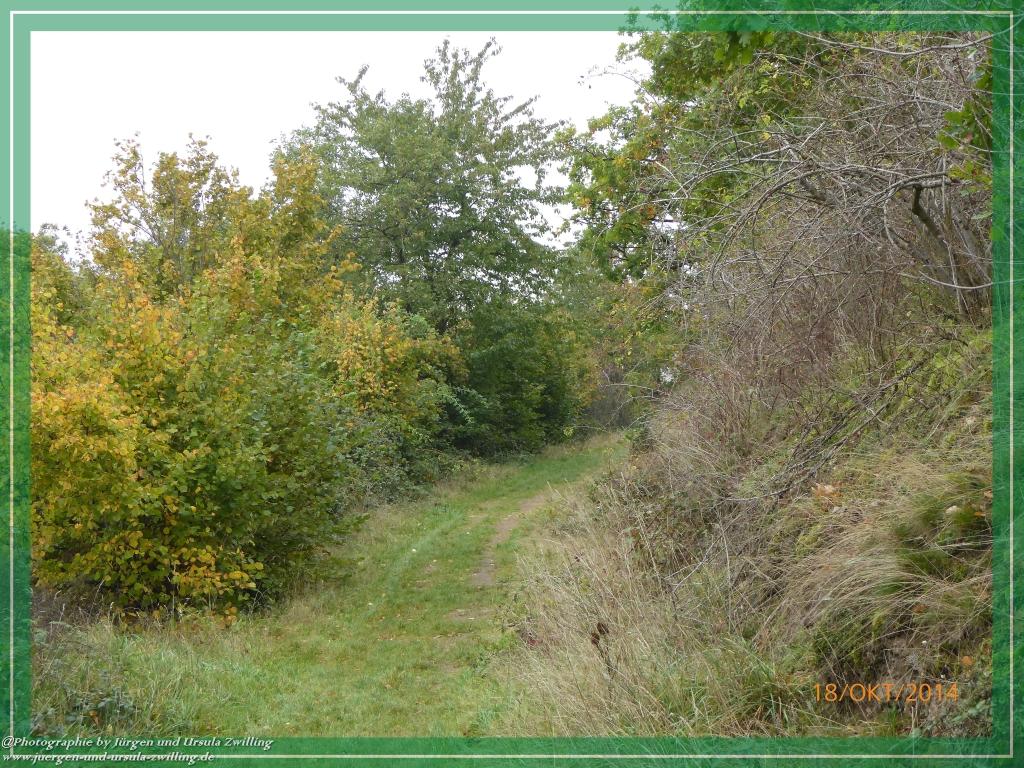 Philosophische Bildwanderung Hiwweltour-Heideblick
