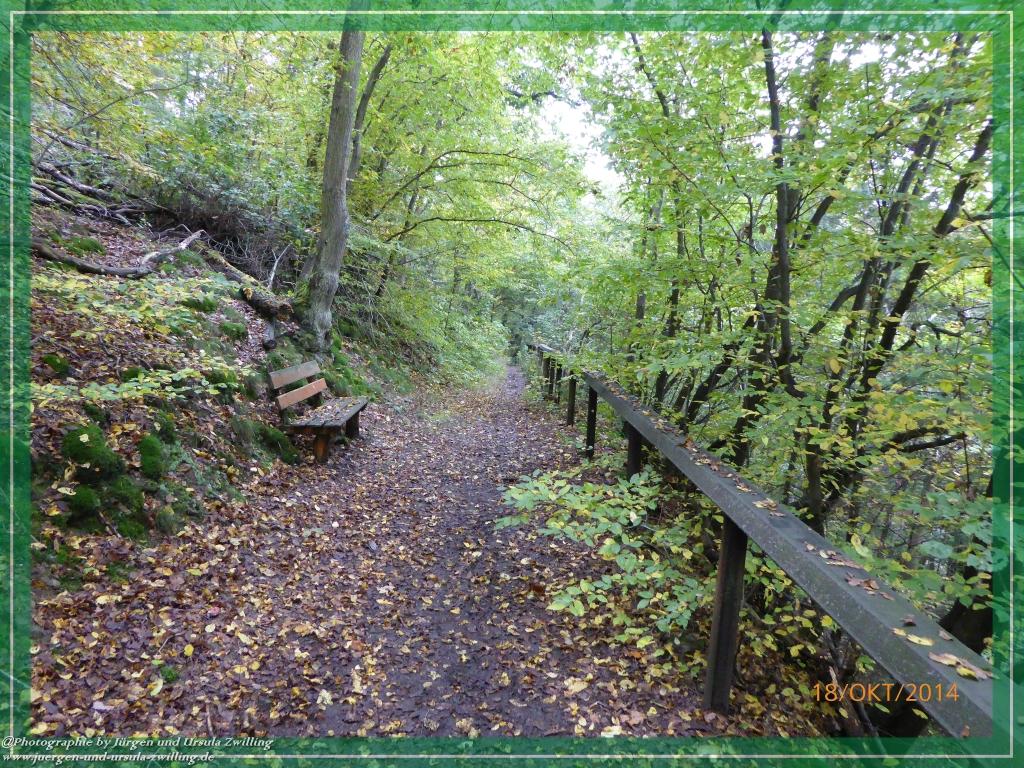 Philosophische Bildwanderung Hiwweltour-Heideblick