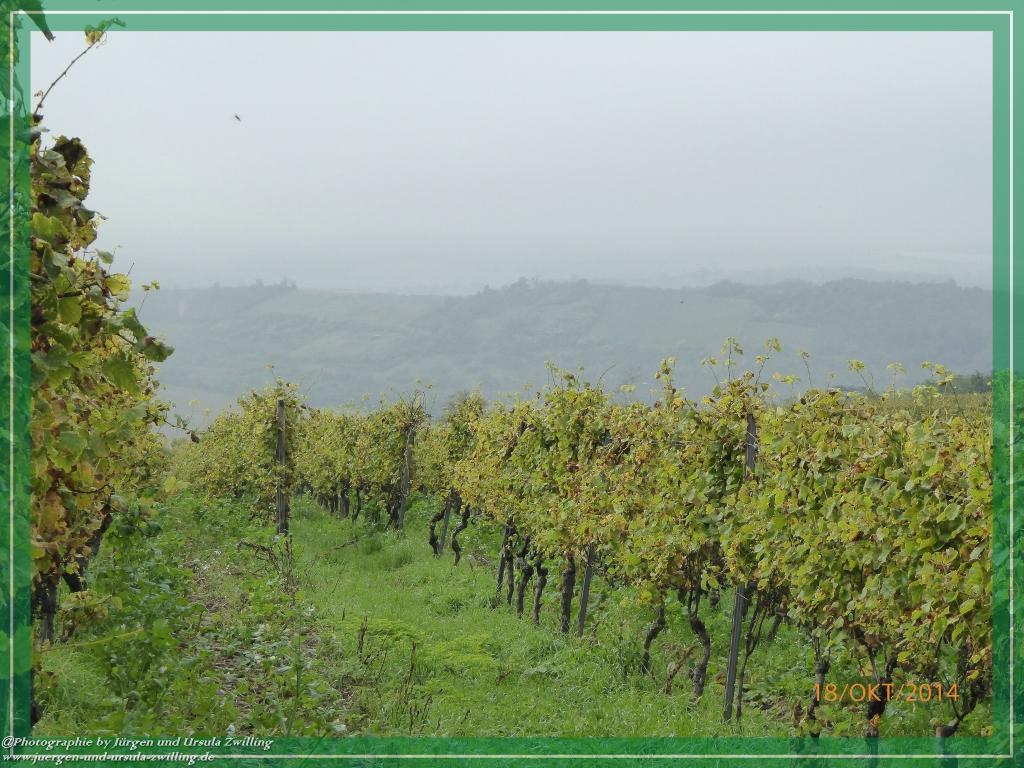 Philosophische Bildwanderung Hiwweltour-Heideblick