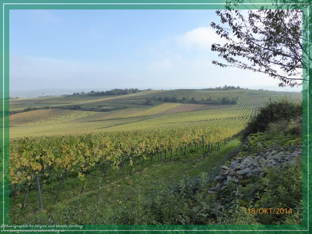 Philosophische Bildwanderung Hiwweltour-Heideblick