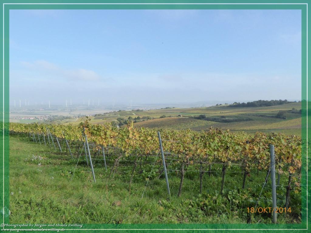 Philosophische Bildwanderung Hiwweltour-Heideblick