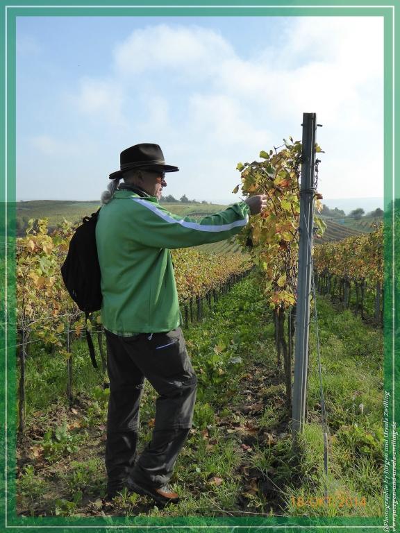 Philosophische Bildwanderung Hiwweltour-Heideblick