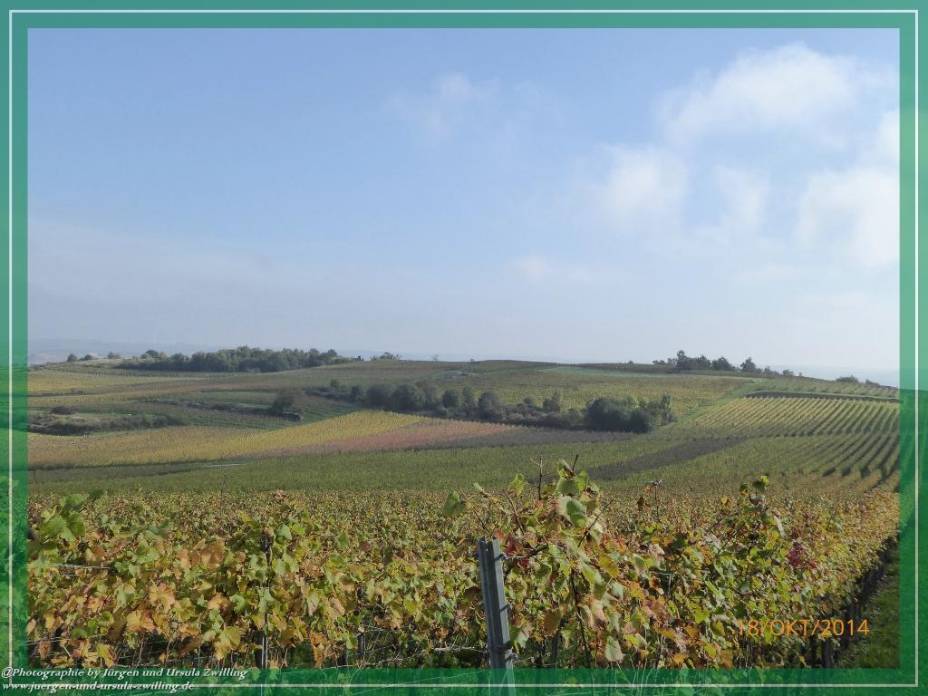 Philosophische Bildwanderung Hiwweltour-Heideblick