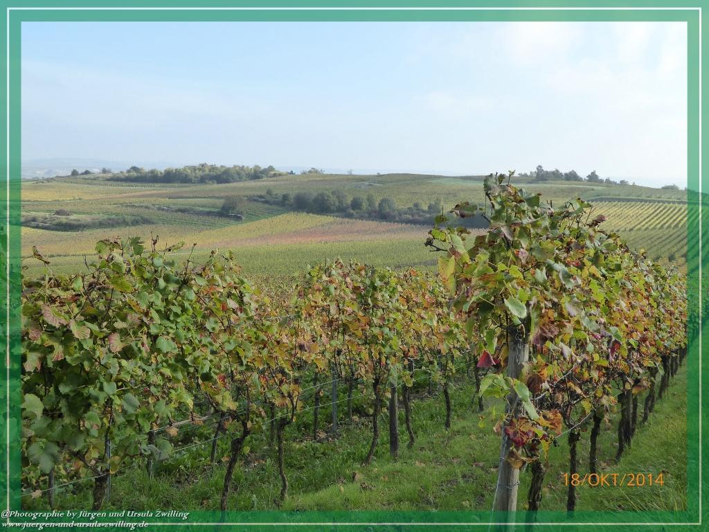 Philosophische Bildwanderung Hiwweltour-Heideblick