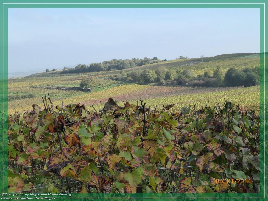 Philosophische Bildwanderung Hiwweltour-Heideblick