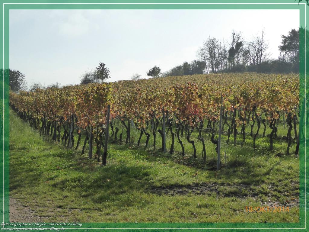 Philosophische Bildwanderung Hiwweltour-Heideblick