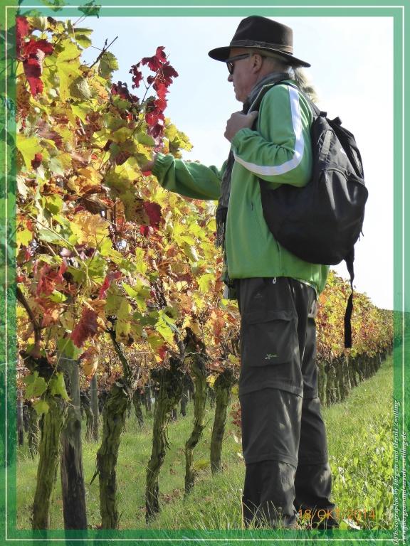 Philosophische Bildwanderung Hiwweltour-Heideblick