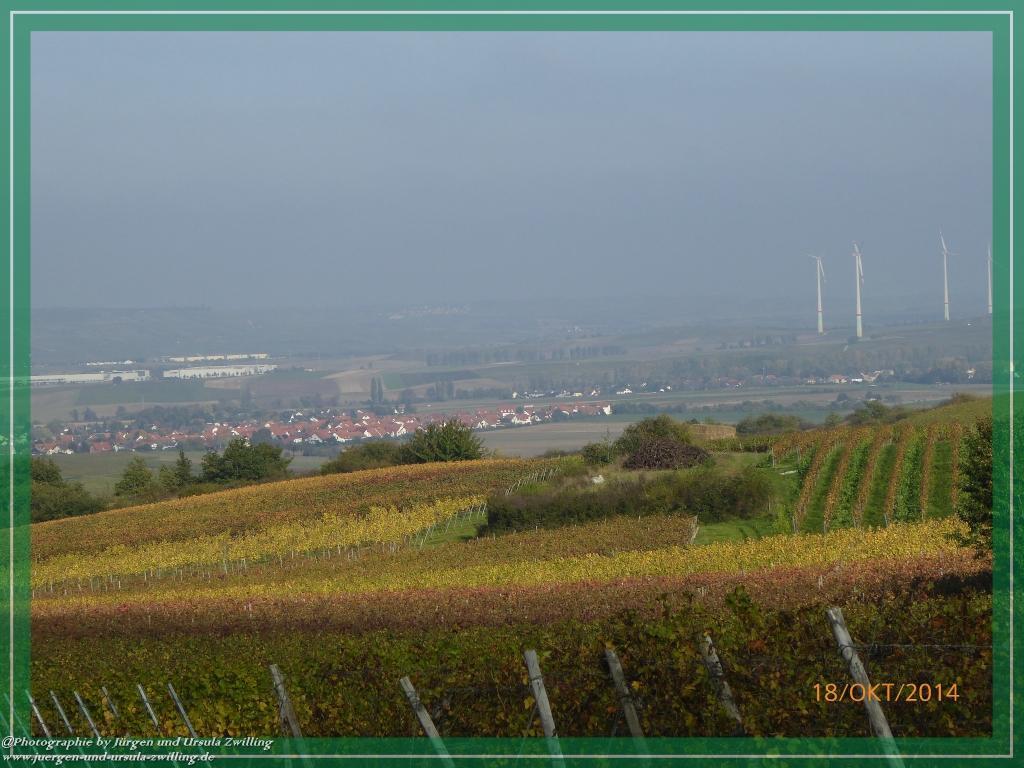 Philosophische Bildwanderung Hiwweltour-Heideblick