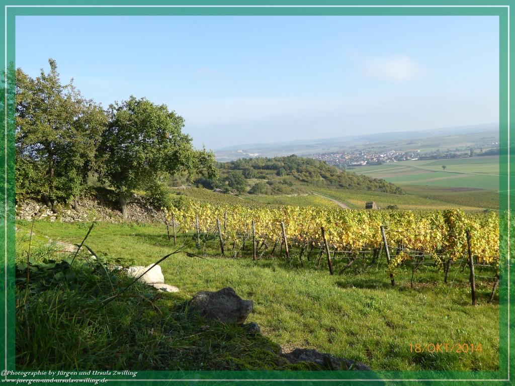 Philosophische Bildwanderung Hiwweltour-Heideblick