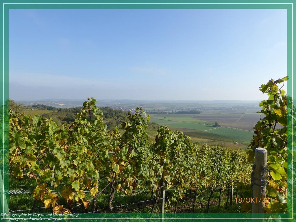 Philosophische Bildwanderung Hiwweltour-Heideblick