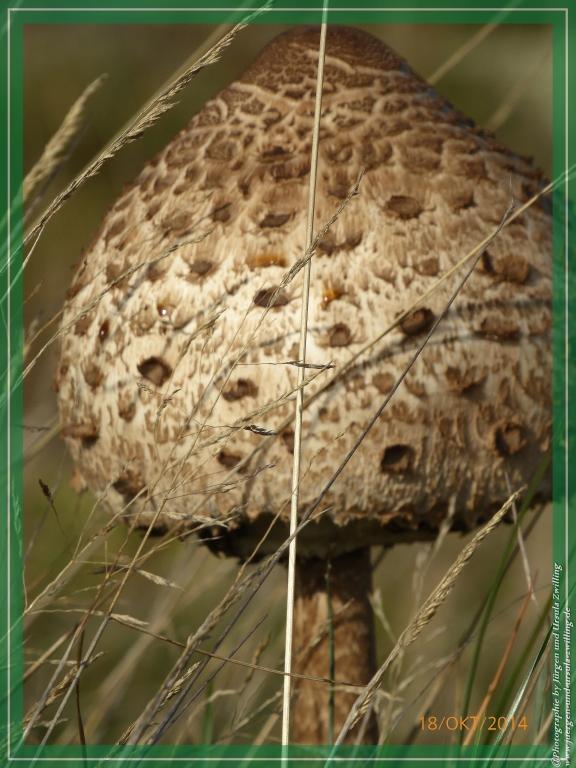 Philosophische Bildwanderung Hiwweltour-Heideblick