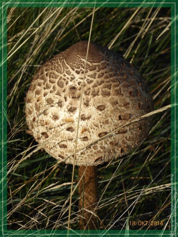 Philosophische Bildwanderung Hiwweltour-Heideblick