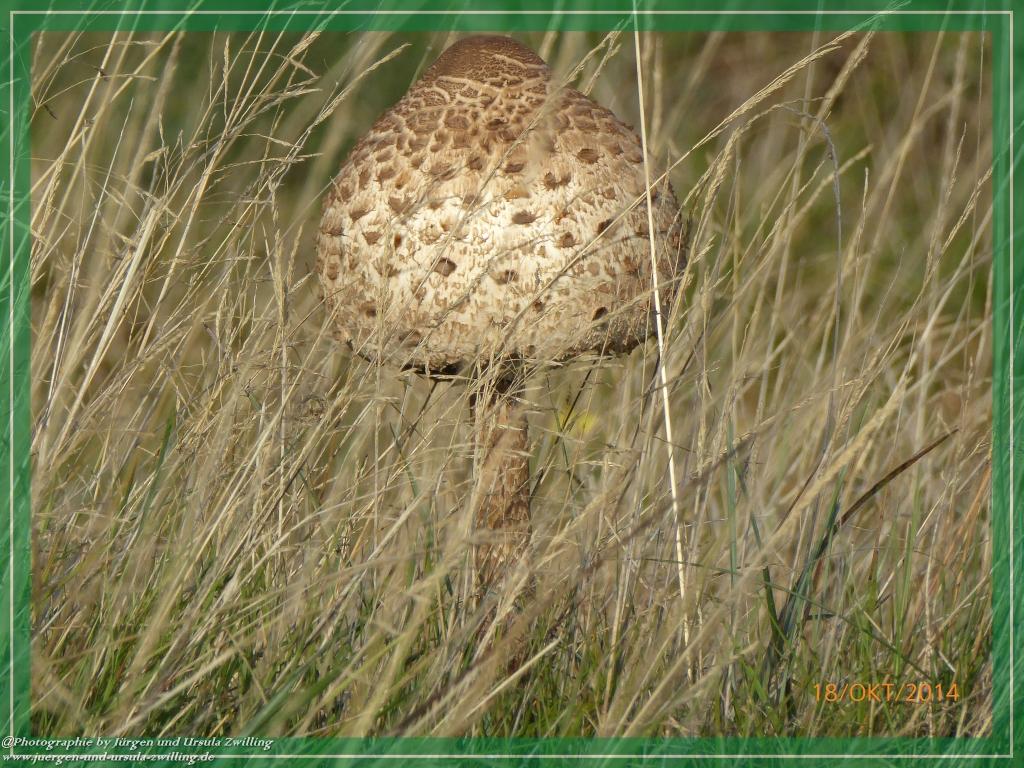 Philosophische Bildwanderung Hiwweltour-Heideblick
