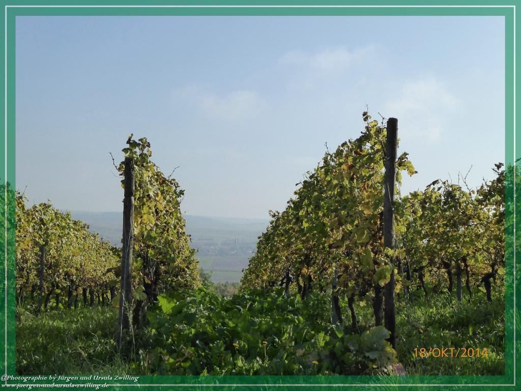 Philosophische Bildwanderung Hiwweltour-Heideblick