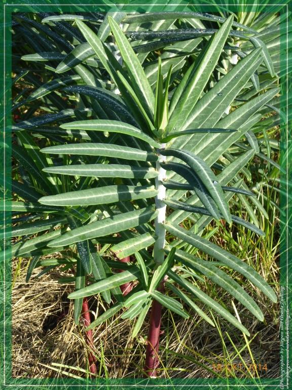 Philosophische Bildwanderung Hiwweltour-Heideblick
