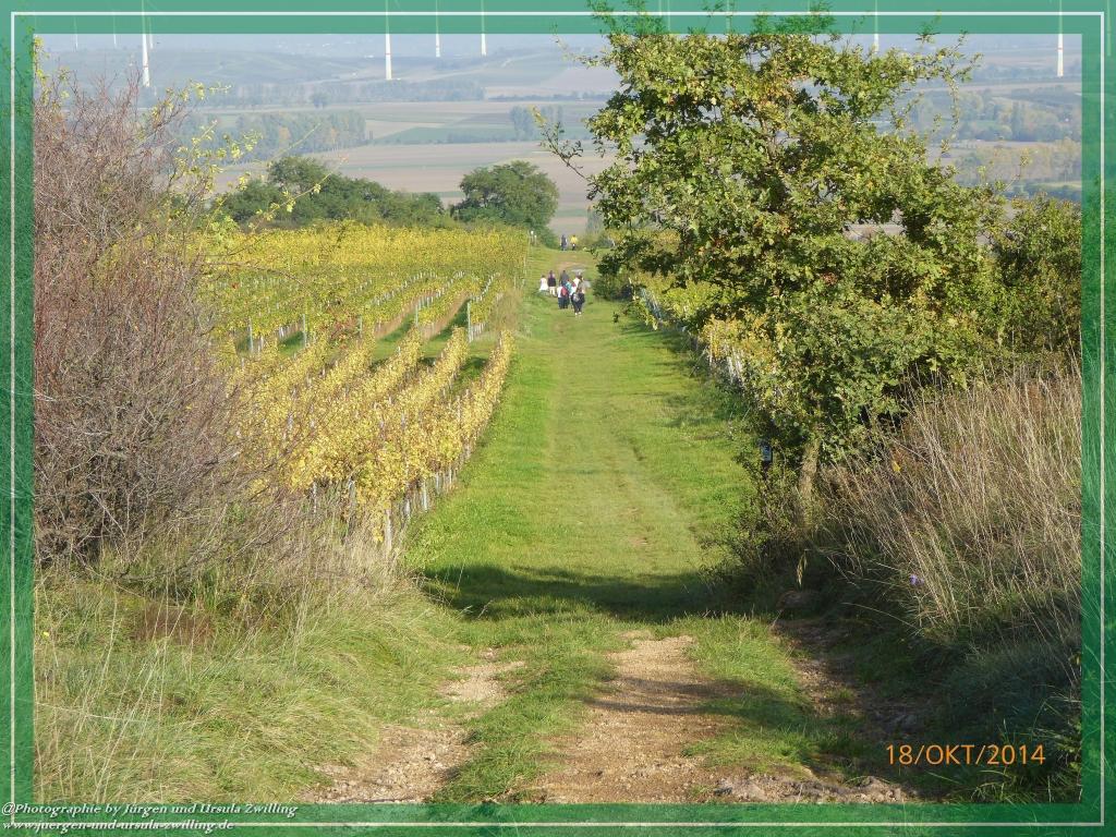 Philosophische Bildwanderung Hiwweltour-Heideblick