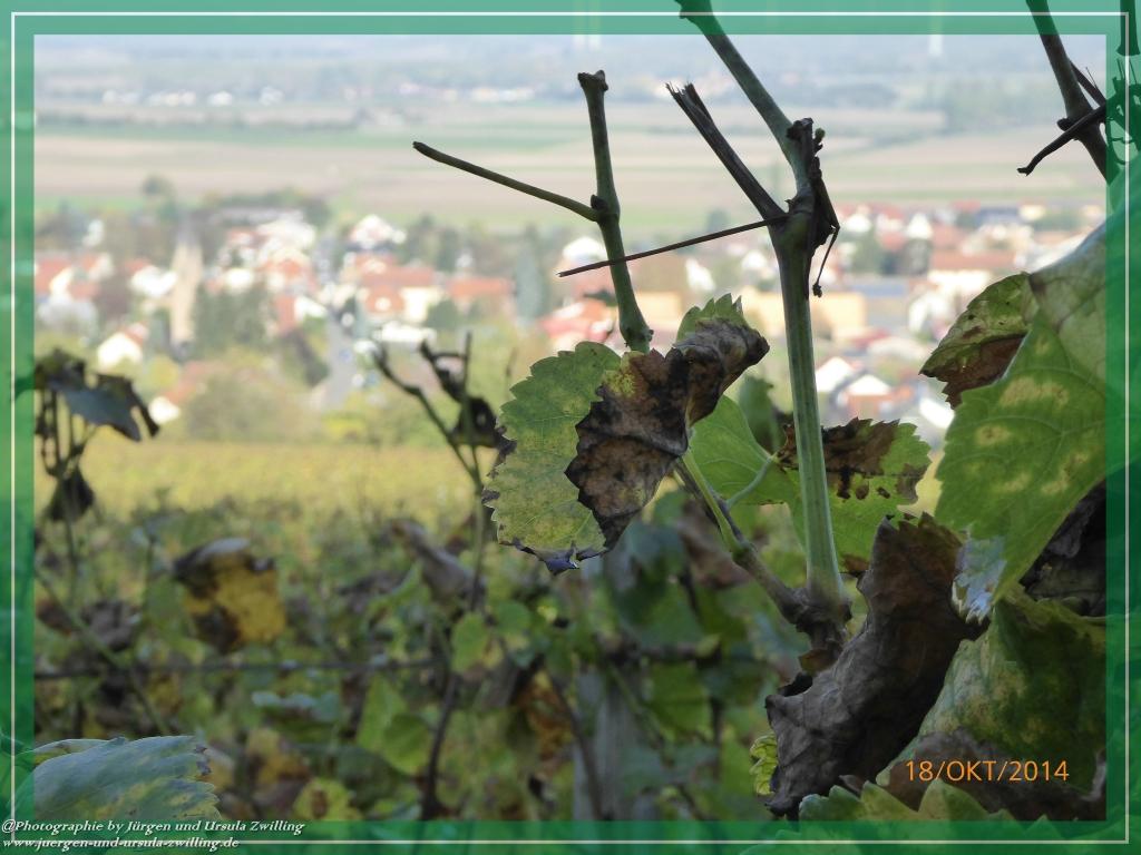 Philosophische Bildwanderung Hiwweltour-Heideblick