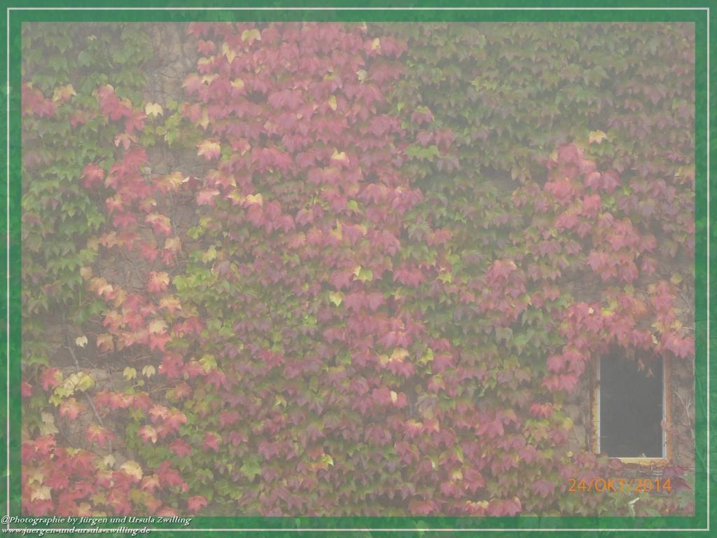 Philosophische Bildwanderung Hiwweltour-Eichelberg