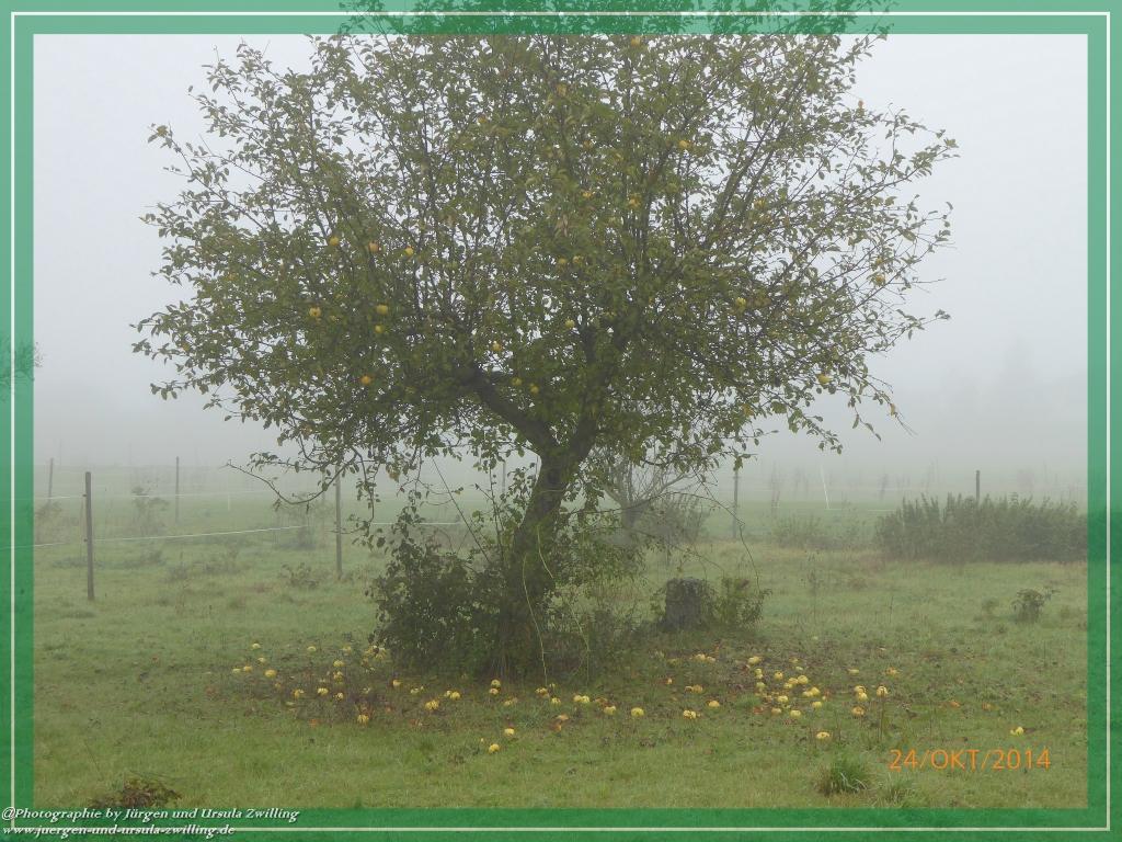 Philosophische Bildwanderung Hiwweltour-Eichelberg