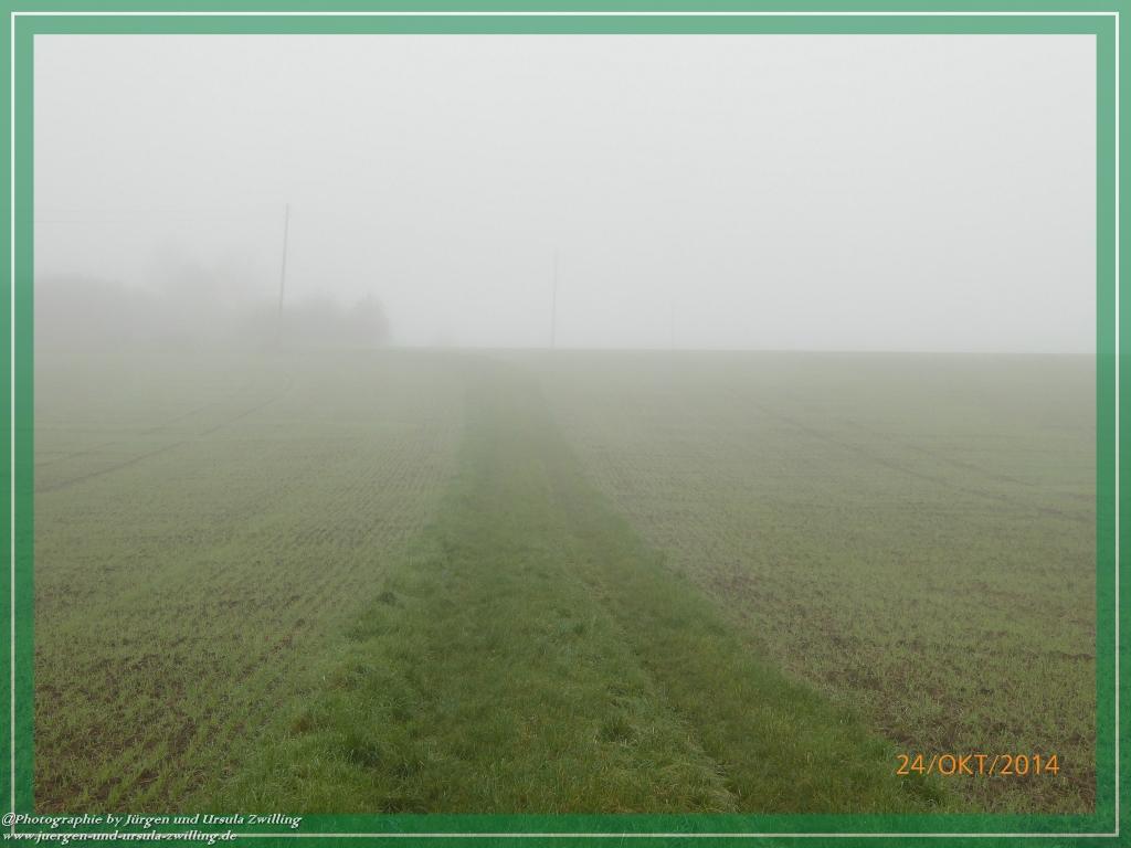 Philosophische Bildwanderung Hiwweltour-Eichelberg