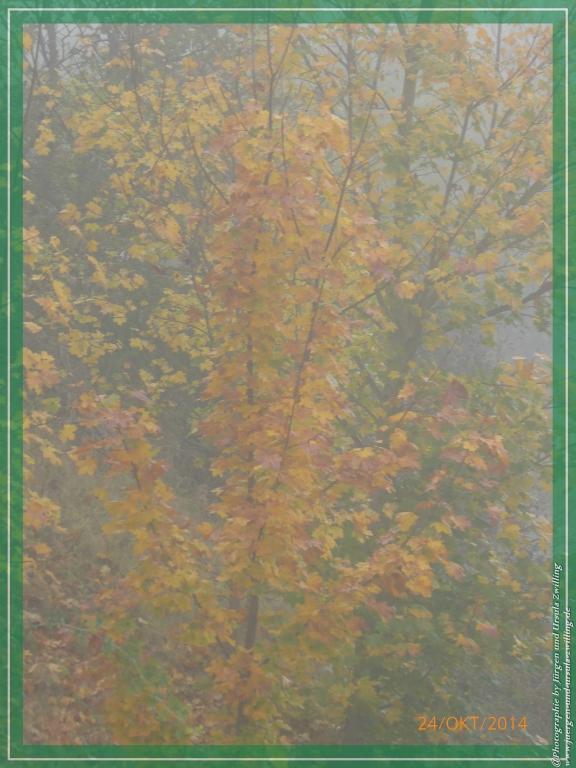 Philosophische Bildwanderung Hiwweltour-Eichelberg