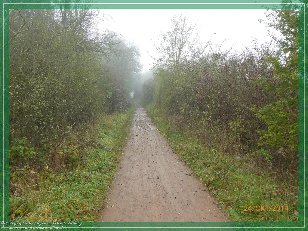 Philosophische Bildwanderung Hiwweltour-Eichelberg