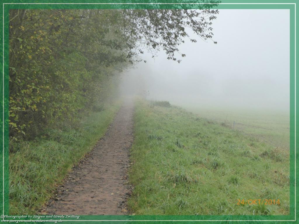 Philosophische Bildwanderung Hiwweltour-Eichelberg