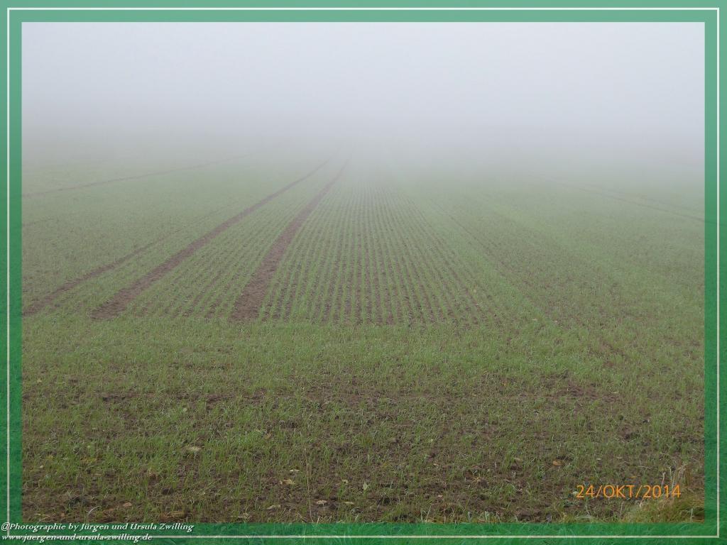 Philosophische Bildwanderung Hiwweltour-Eichelberg