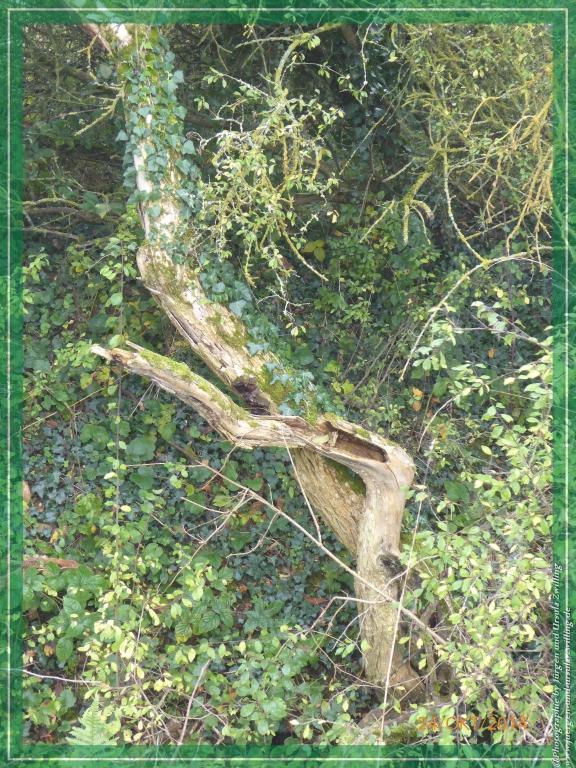 Philosophische Bildwanderung Hiwweltour-Eichelberg