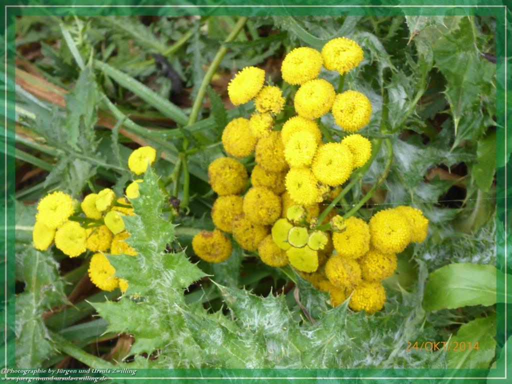 Philosophische Bildwanderung Hiwweltour-Eichelberg