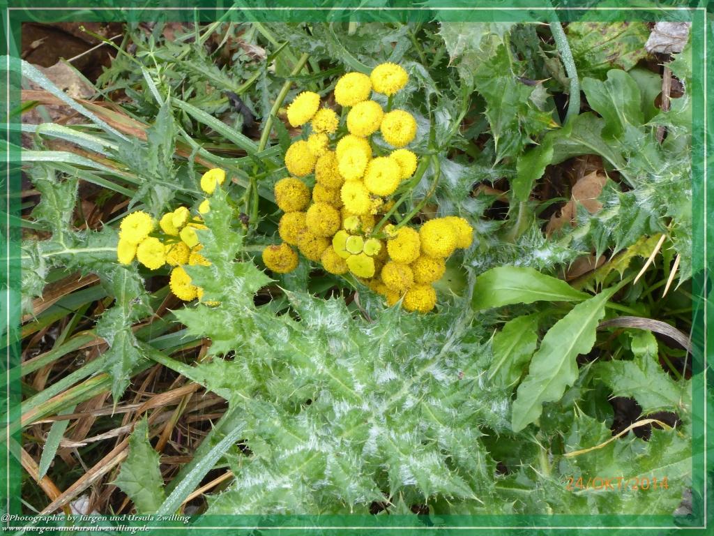 Philosophische Bildwanderung Hiwweltour-Eichelberg