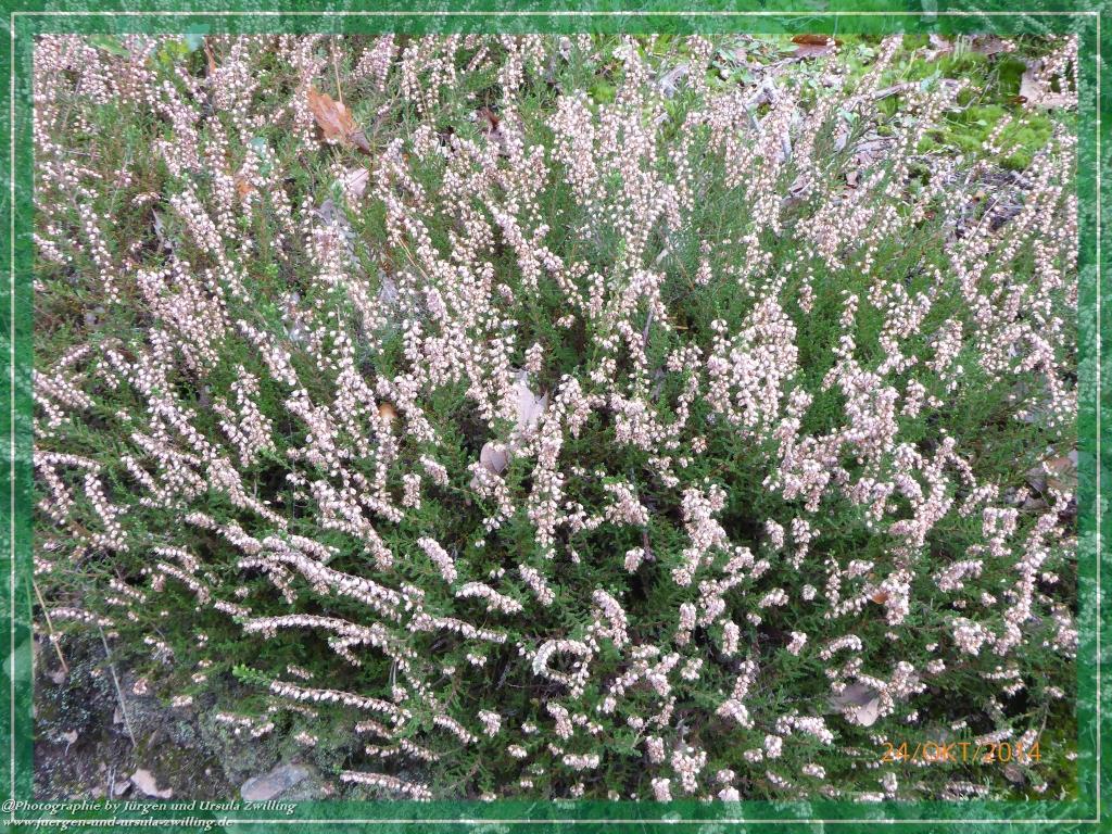 Philosophische Bildwanderung Hiwweltour-Eichelberg