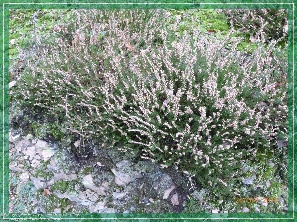 Philosophische Bildwanderung Hiwweltour-Eichelberg