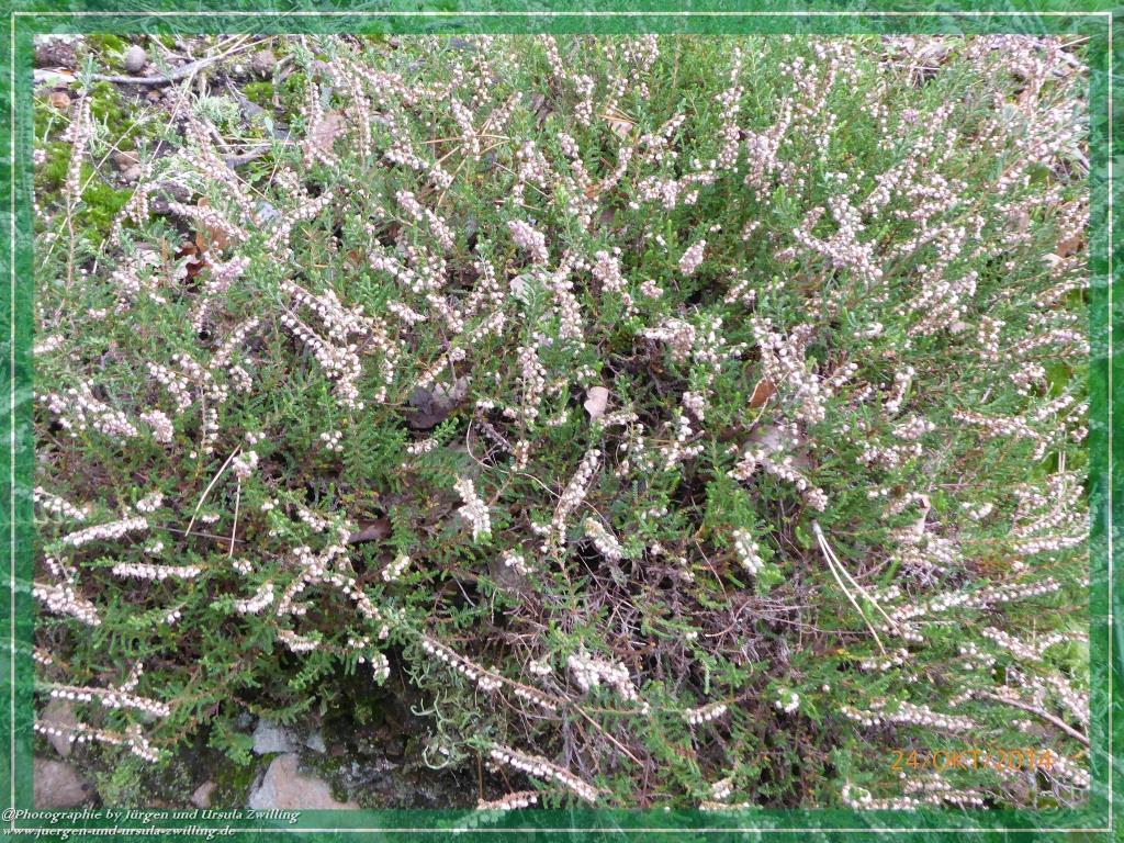 Philosophische Bildwanderung Hiwweltour-Eichelberg