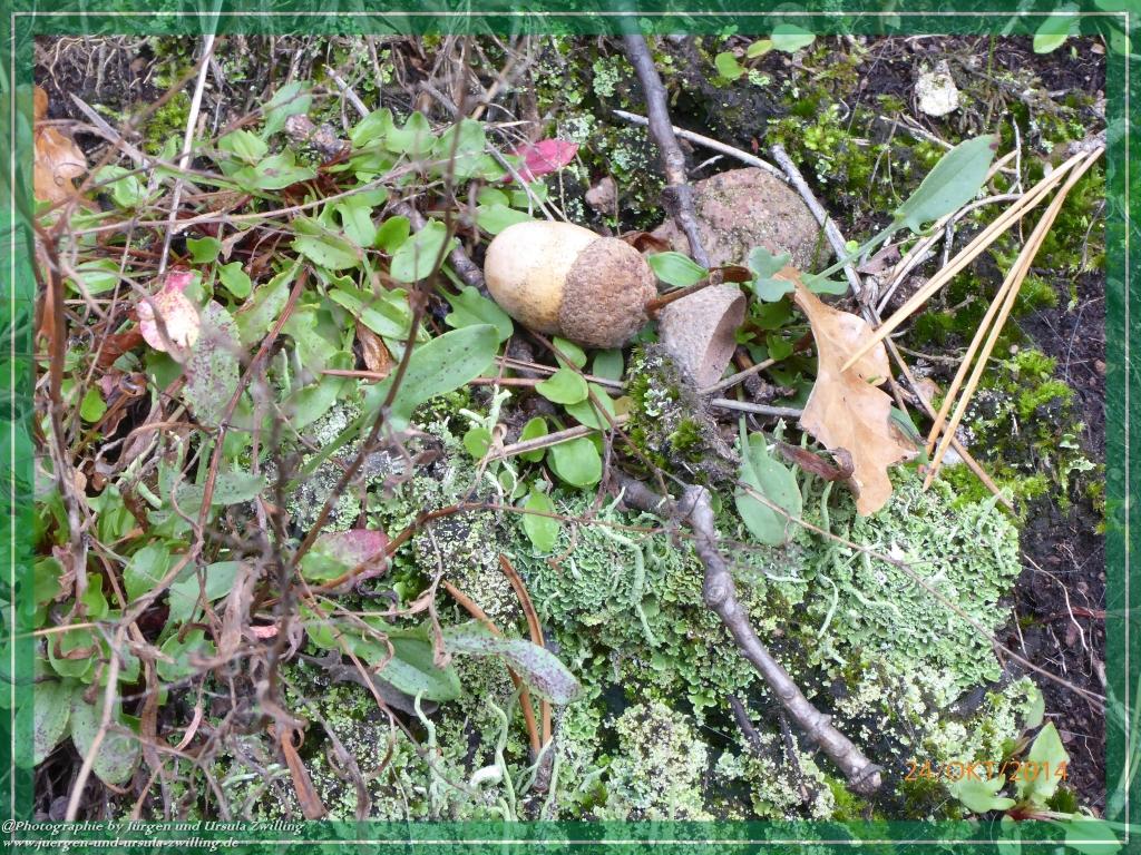 Philosophische Bildwanderung Hiwweltour-Eichelberg