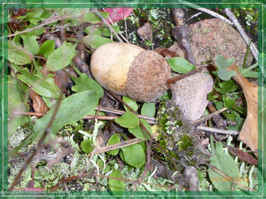 Philosophische Bildwanderung Hiwweltour-Eichelberg