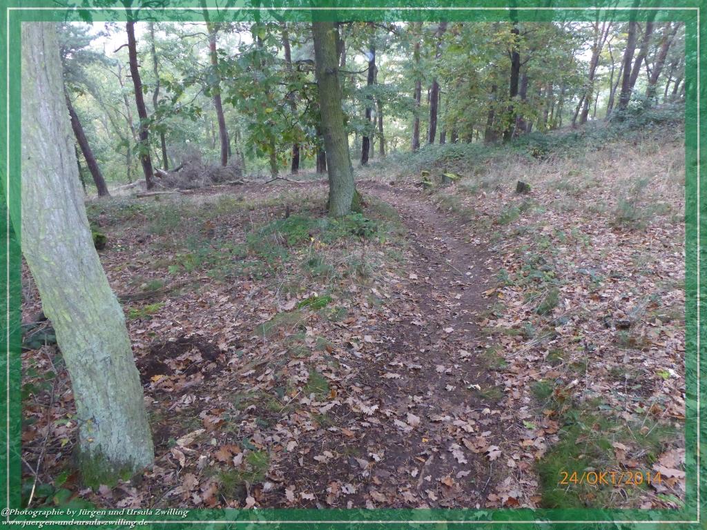 Philosophische Bildwanderung Hiwweltour-Eichelberg