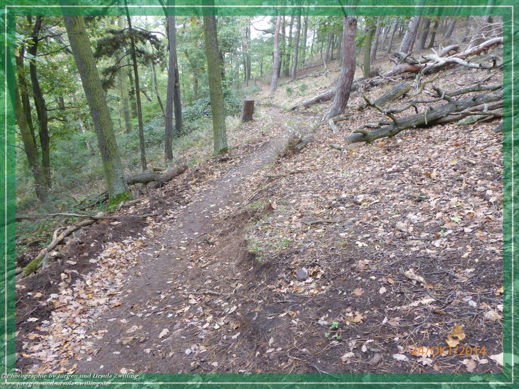 Philosophische Bildwanderung Hiwweltour-Eichelberg