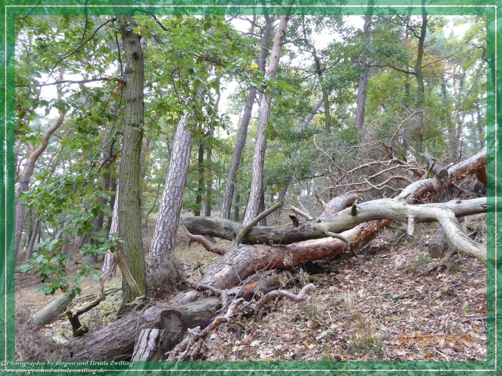 Philosophische Bildwanderung Hiwweltour-Eichelberg