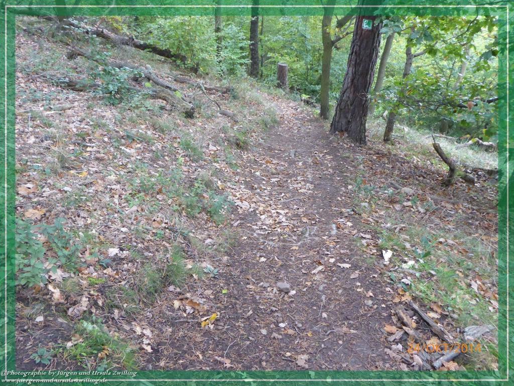 Philosophische Bildwanderung Hiwweltour-Eichelberg