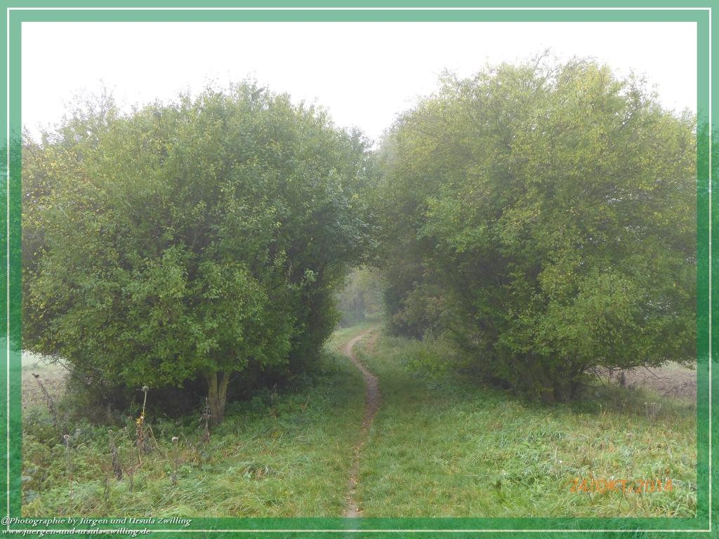 Philosophische Bildwanderung Hiwweltour-Eichelberg