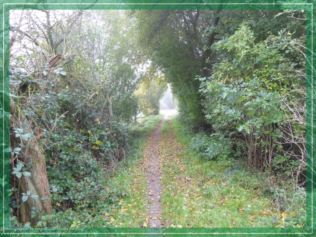 Philosophische Bildwanderung Hiwweltour-Eichelberg