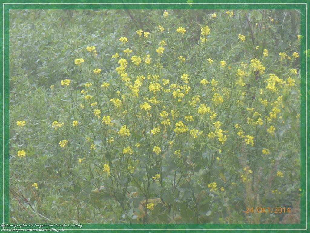 Philosophische Bildwanderung Hiwweltour-Eichelberg