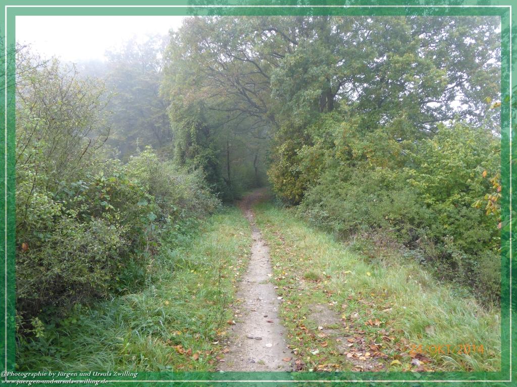 Philosophische Bildwanderung Hiwweltour-Eichelberg