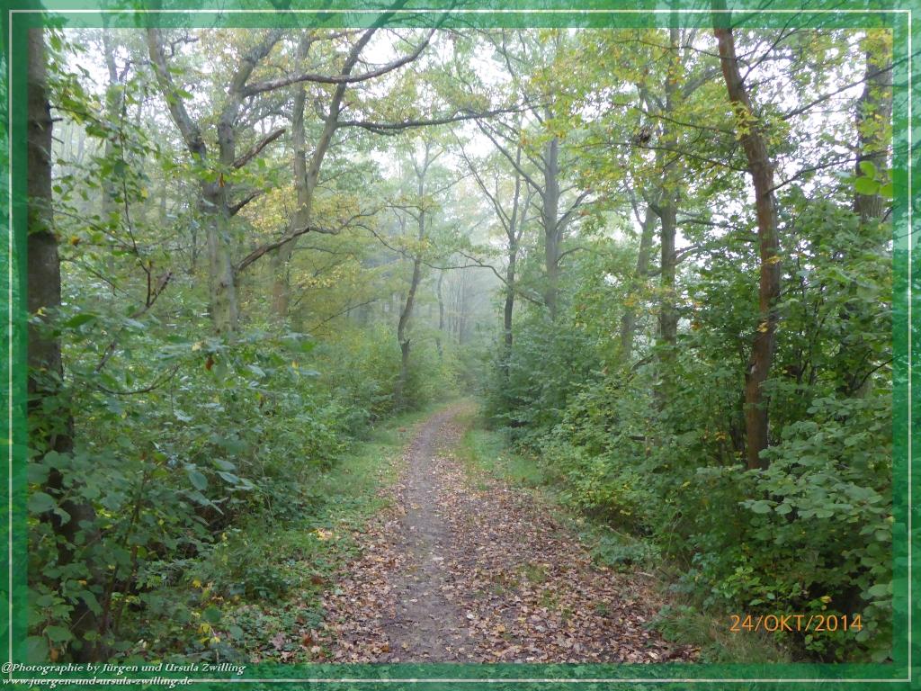 Philosophische Bildwanderung Hiwweltour-Eichelberg