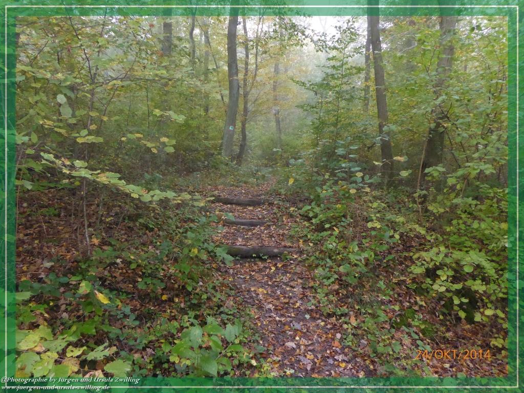 Philosophische Bildwanderung Hiwweltour-Eichelberg