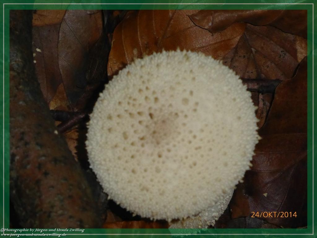 Philosophische Bildwanderung Hiwweltour-Eichelberg